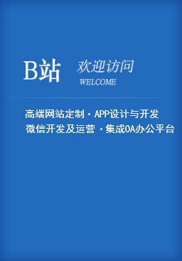 上海网站设计-浩军